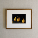 Harvest Pears Art Print