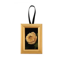 PRE-ORDER: 2024 Christmas Ornaments