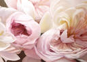 Mille Feuille Print