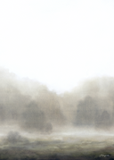 In Stock: Mushroom Mist Print