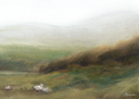 In Stock: Pasture Print