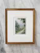 Queen Anne's Lace | 8x10" or 12x14"