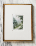 Queen Anne's Lace | 8x10" or 12x14"