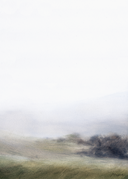 In Stock: Quiet Morning Print