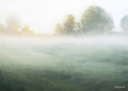 In Stock: September Morning Print