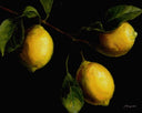 The Lemons Art Print