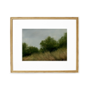 In Stock: Thicket Print