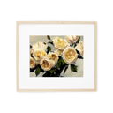 In Stock: Ivory Garden Rose Bouquet Print