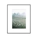 White Daisies Landscape Art Print