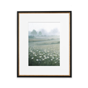 In Stock: White Daisies Print