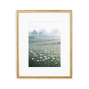 In Stock: White Daisies Print