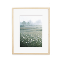 In Stock: White Daisies Print