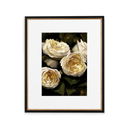 In Stock: Ivory Roses Print