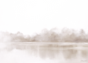 Winter Fog Landscape Art Print