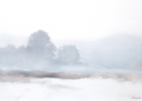 Wintry Mists Landscape Art Print