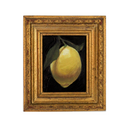 Lemon Drop II | 2x3.5