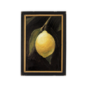 Citrus Kiss I | 4x6