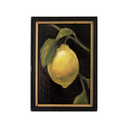Citrus Kiss II | 4x6