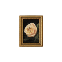 Butter Yellow Garden Rose | 4.5x6.5"