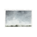 Tree Line Study 1 | 5.5x8.5