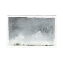Tree Line Study 2 | 5.5x8.5
