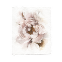 Ruffled Peony | 8x10