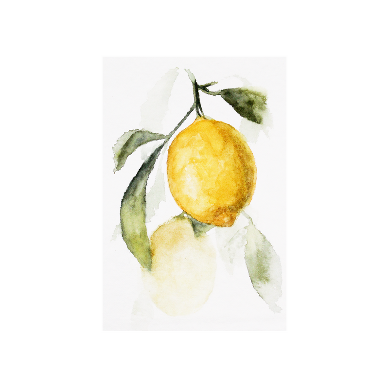Lemonade II | 5x7