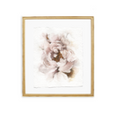 Ruffled Peony | 8x10