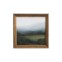 Wild Field | 5x5.25
