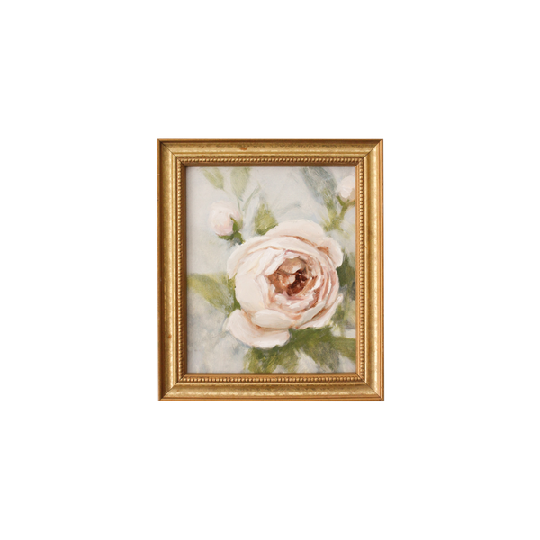 Ivory Garden Rose no.3 | 5x6"