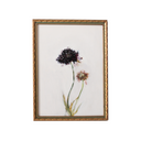 Petit Fleur | 5x7