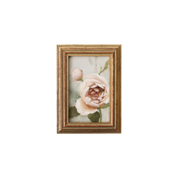 Ivory Garden Rose no.2 | 3.5x5"