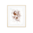 Golden Center Peony | 8x10