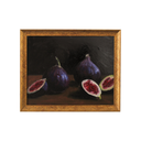 Fig Study no.10 | 8x10