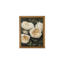 Ivory Garden Roses no.2 | 6x8"