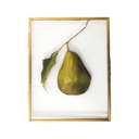 Chartreuse | 7x9