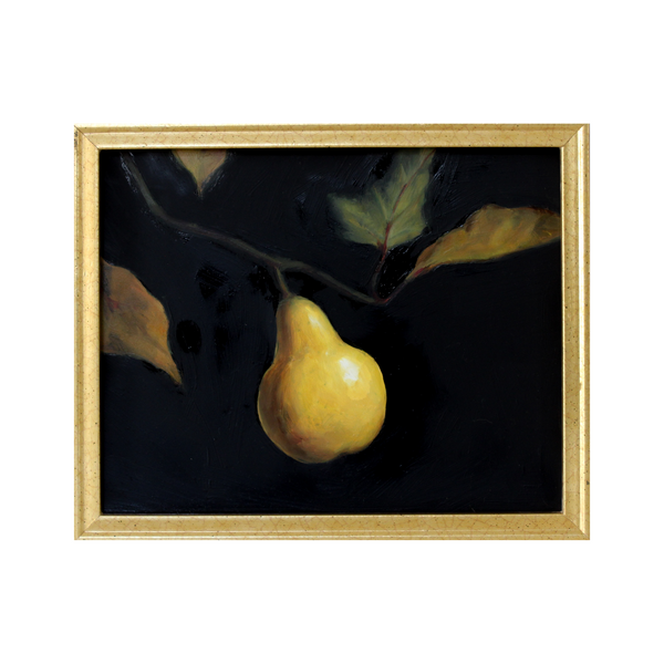 Pear Study 2 | 8x10