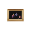 Vintage Framed Print: Fig Study no.5 | 5x7"