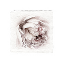 Powder Puff | 5x5