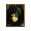 Pear Study 1 | 8x10