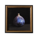 Fig Study no.3 | 6x6
