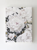 White%2BPeonies%2BII%2Bby%2BJess%2BBlazejewski.jpg