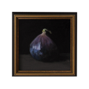 Fig Study no.2 | 6x6