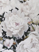 White%2BPeonies%2BII%2Bby%2BJess%2BBlazejewski%2B2.jpg