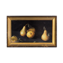 Harvest | 6.75x12