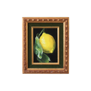 Lemon Study no.1 | 5x7