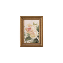 Creamy Peach Roses | 4.5x6.5"