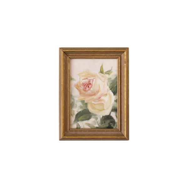 Creamy Peach Roses | 4.5x6.5"