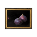 Fig Study no.4 | 6x8
