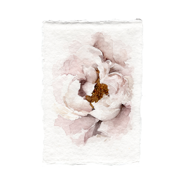 Blush Peony | 5x7 – Jess Blazejewski